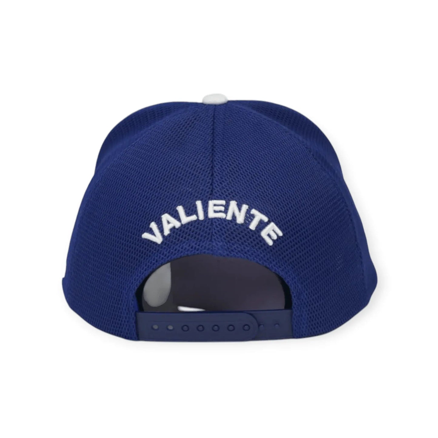 
                  
                    DC Premium Rubber Logo Trucker - valientecaps
                  
                