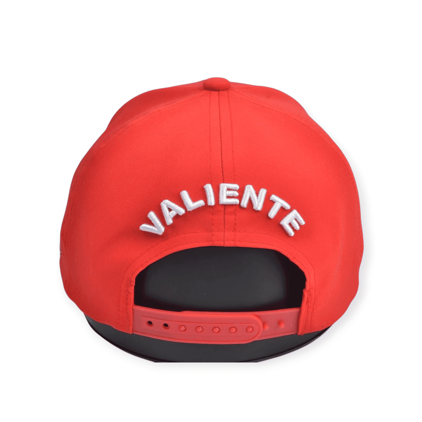 
                  
                    Delhi Capitals FlexGrip Metal Logo - valientecaps
                  
                