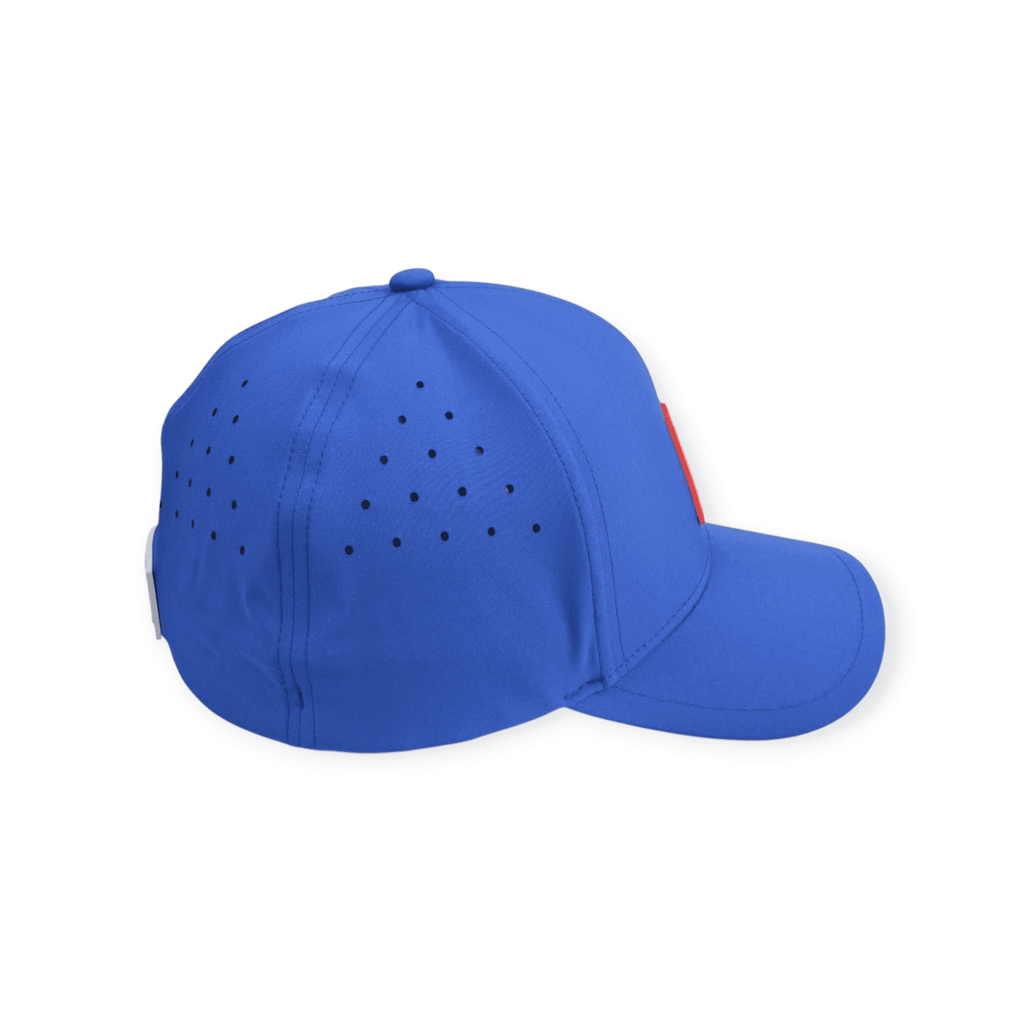 Delhi Capitals FlexGrip Premium Rubber Logo - valientecaps