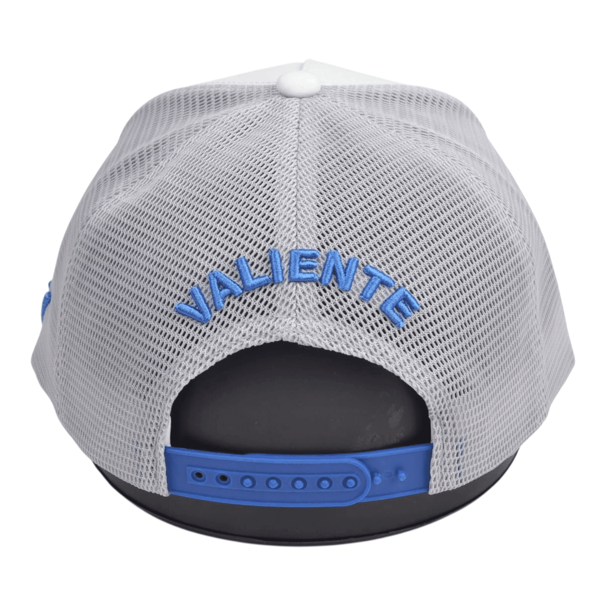 "Dream Chaser" Trucker Hat — Pursue Your Passions - valientecaps
