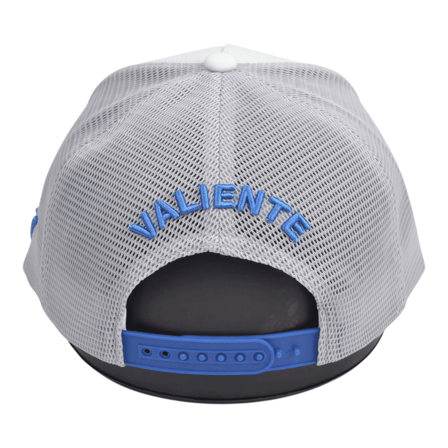 
                  
                    "Dream Chaser" Trucker Hat — Pursue Your Passions - valientecaps
                  
                