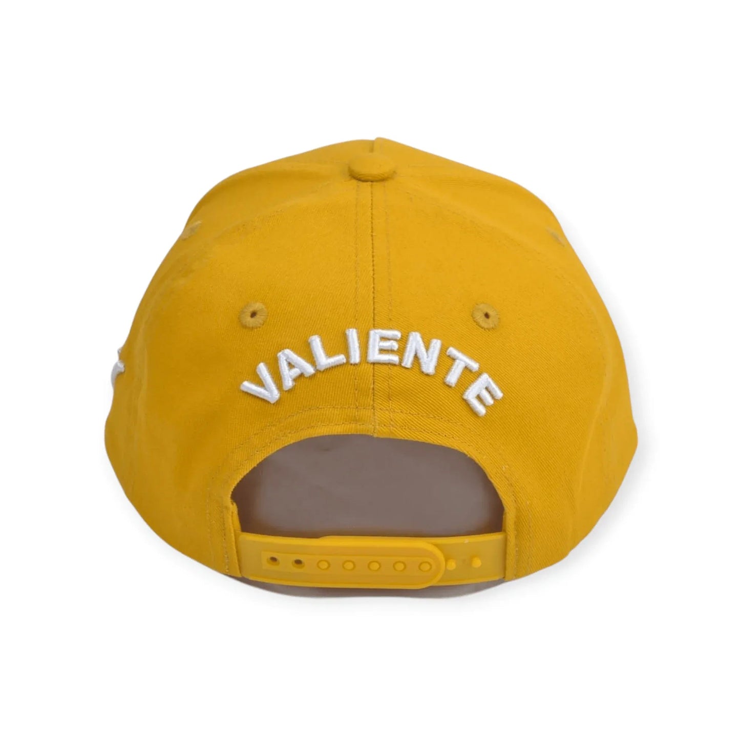 
                  
                    Houston Urban Classic Baseball Cap - valientecaps
                  
                