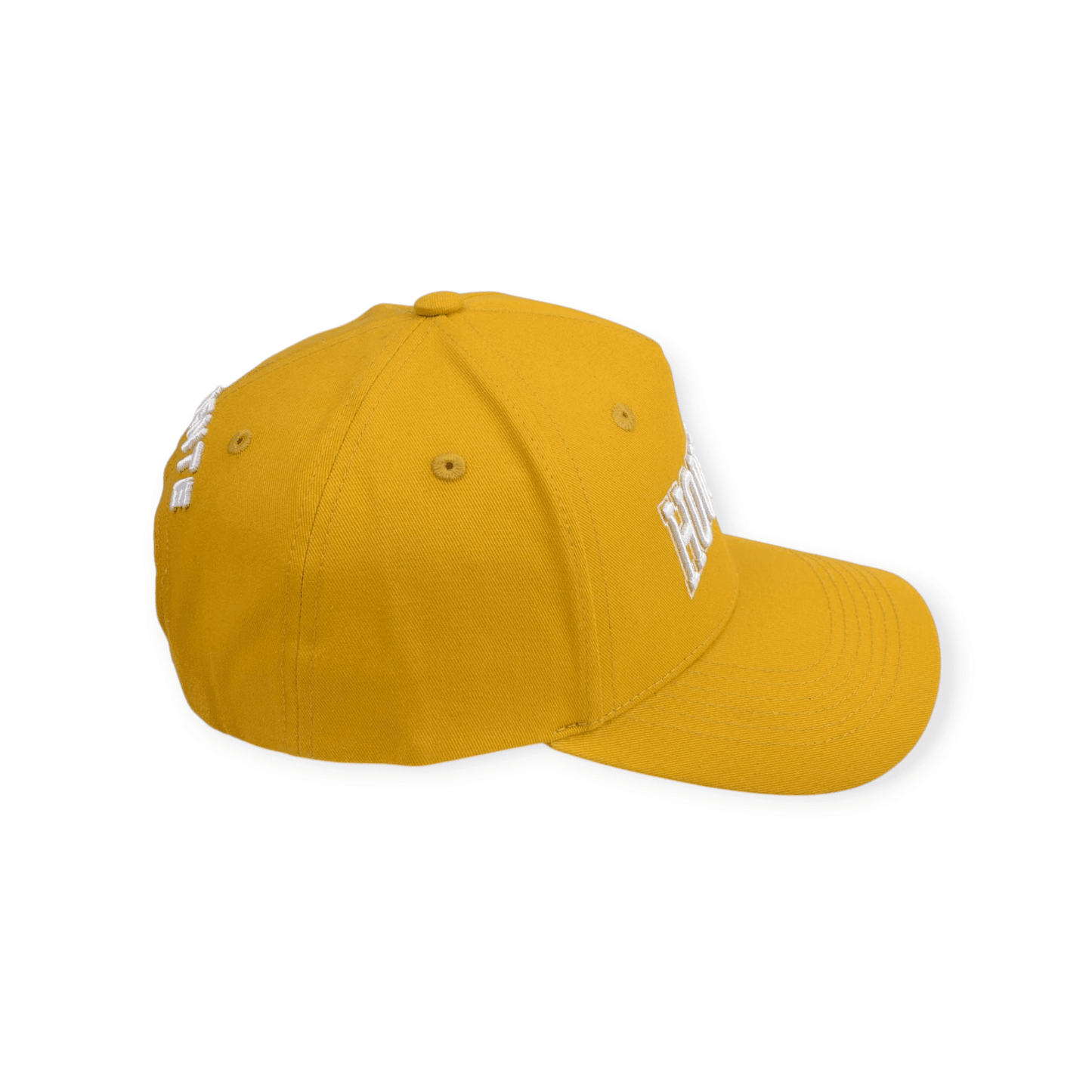 Houston Urban Classic Baseball Cap - valientecaps