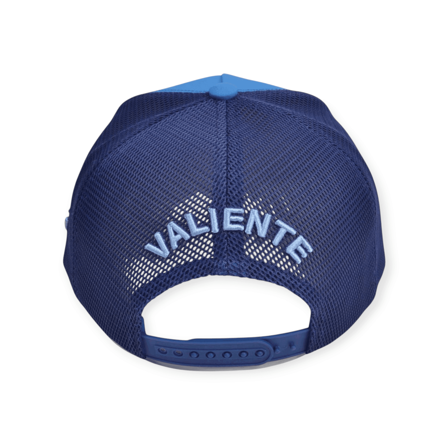 
                  
                    "I Decide My Vibe" Trucker Hat Premium Rubber Logo - valientecaps
                  
                
