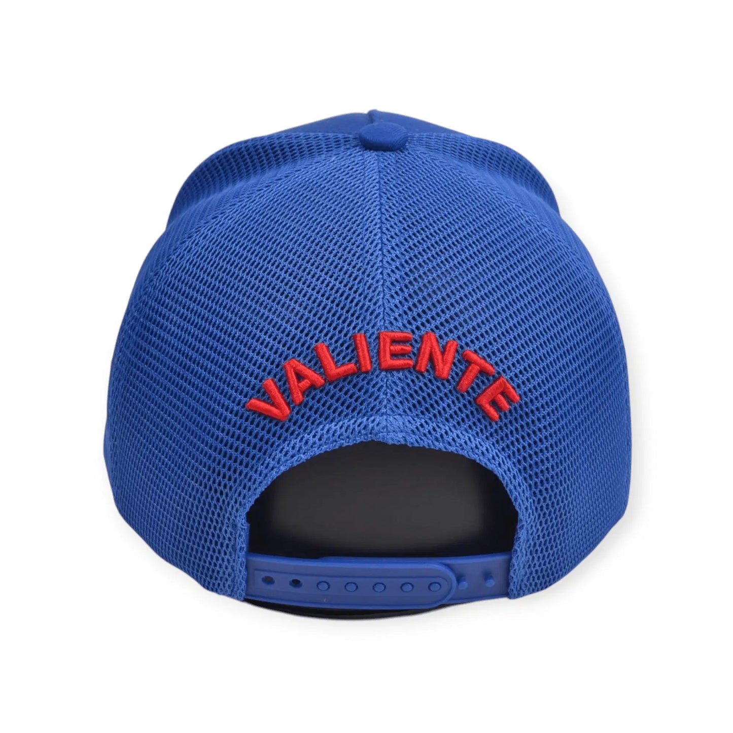 
                  
                    Italia - valientecaps
                  
                