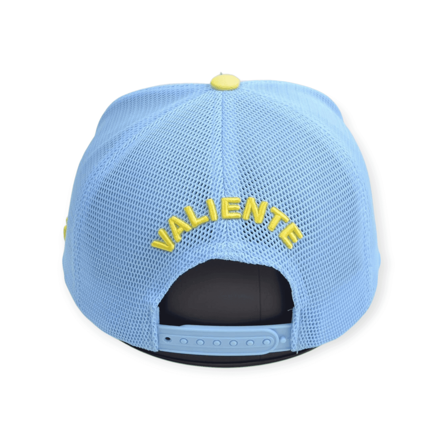 
                  
                    Los Angeles Malibu Beach - valientecaps
                  
                