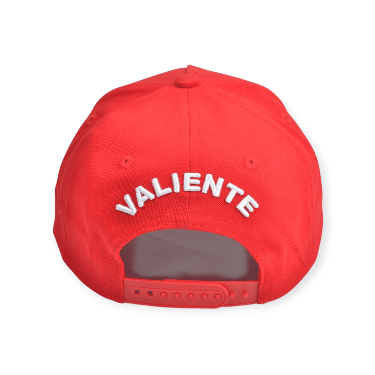 
                  
                    Michigan Pride Baseball Cap - valientecaps
                  
                