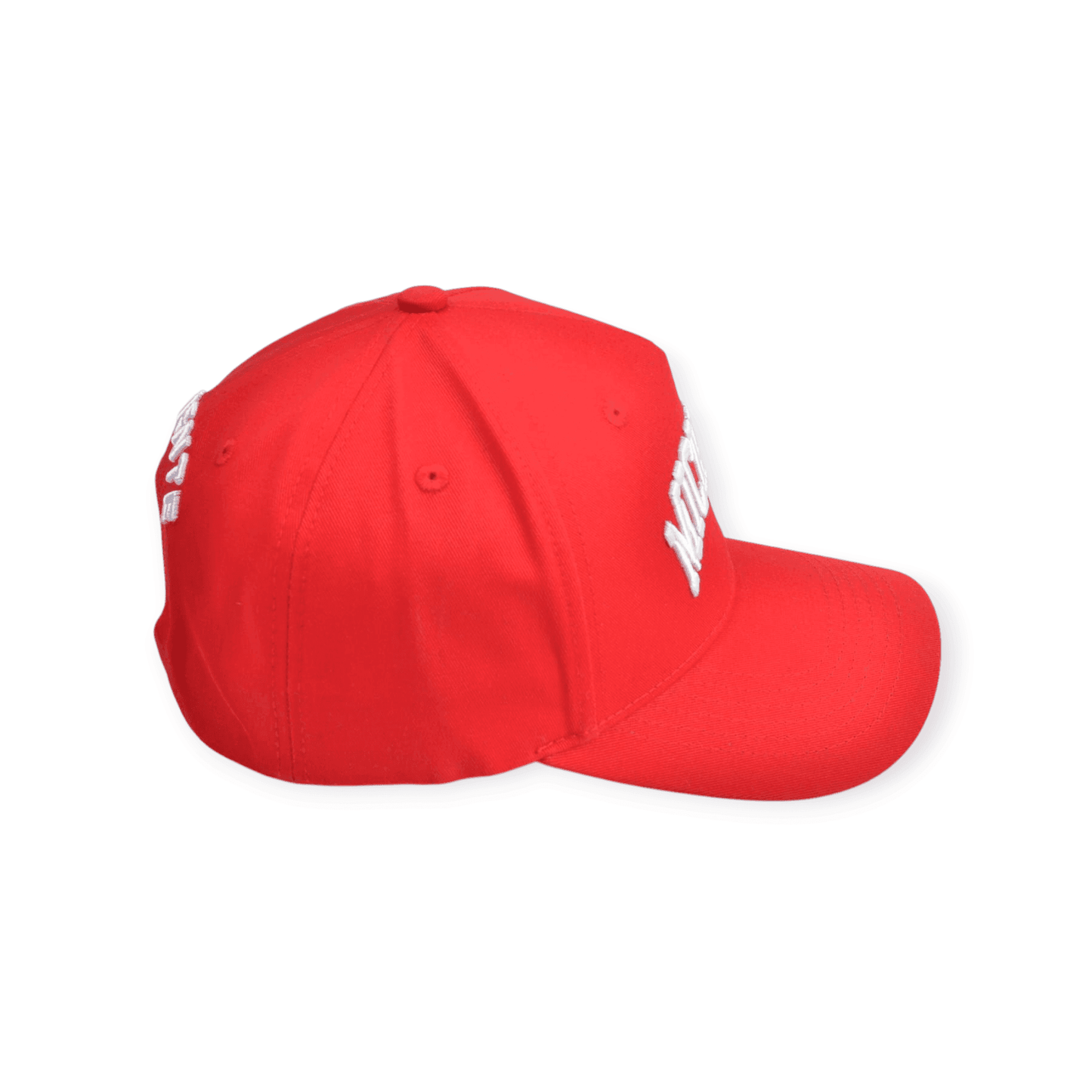 
                  
                    Michigan Pride Baseball Cap - valientecaps
                  
                