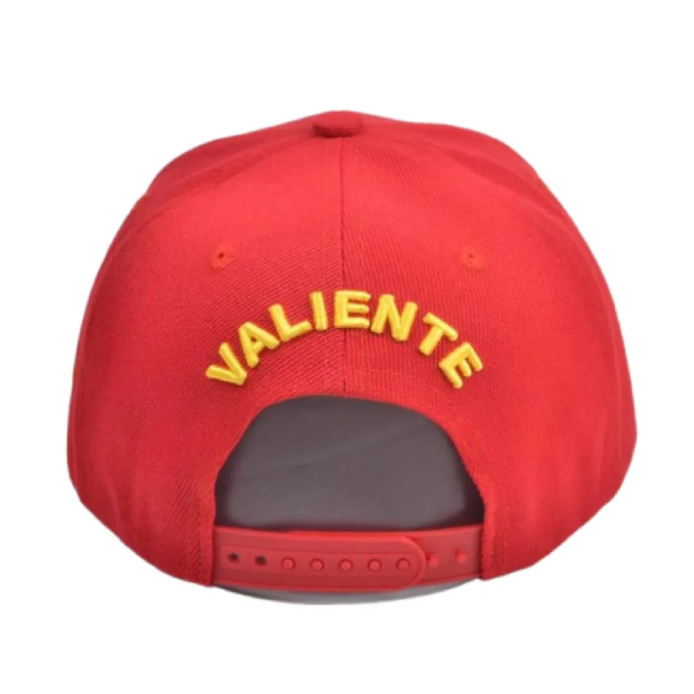 
                  
                    Michigan Snapback Cap - valientecaps
                  
                