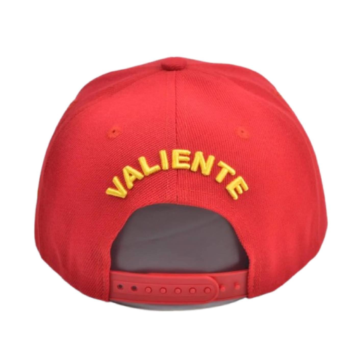 
                  
                    Michigan Snapback Cap - valientecaps
                  
                