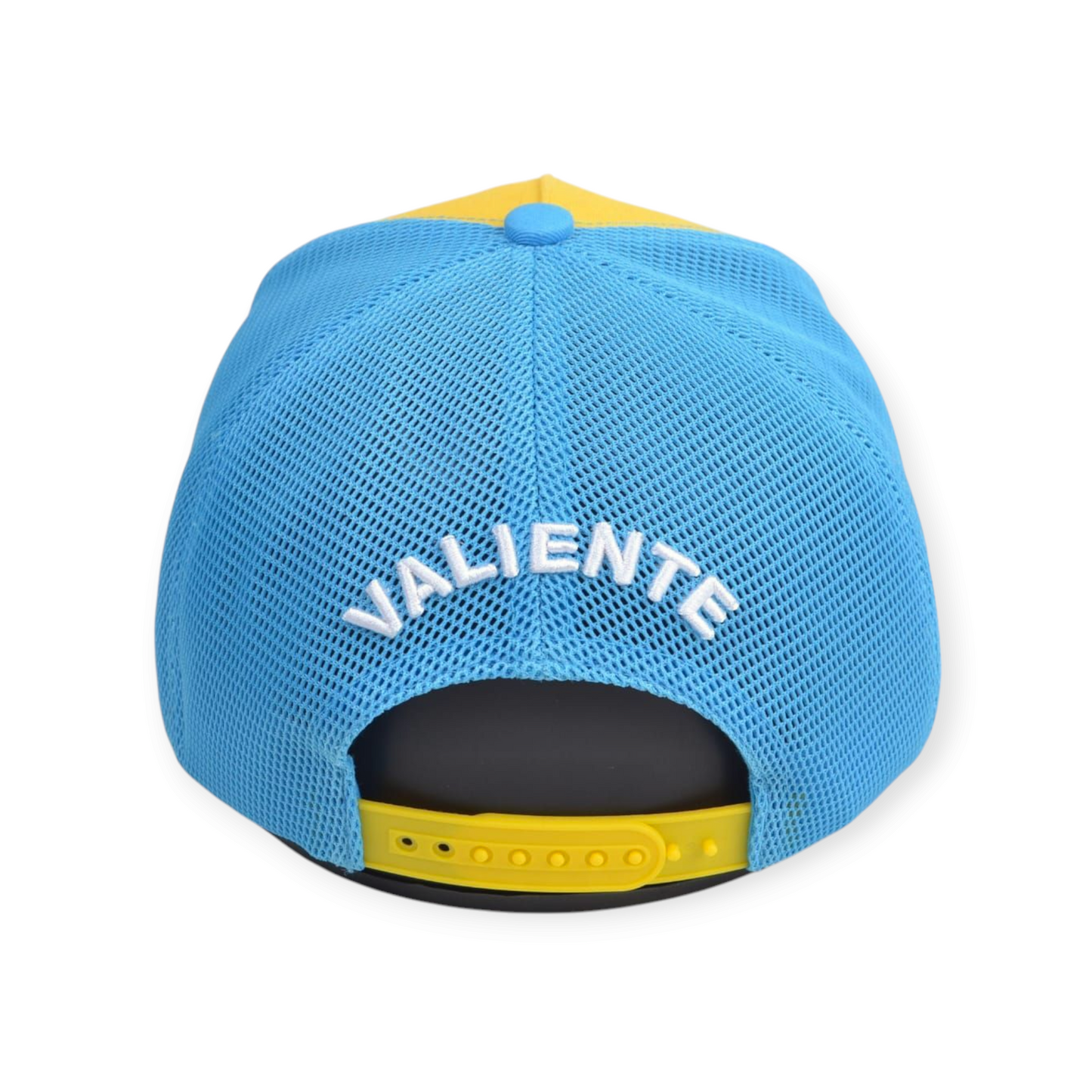 
                  
                    San Francisco Valiente
                  
                