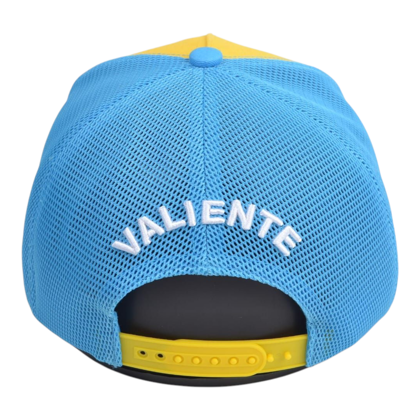 
                  
                    San Francisco Valiente
                  
                