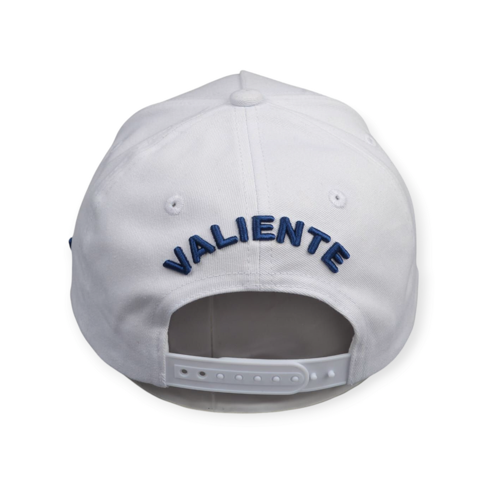 NY Liberty Icon Baseball Cap – valientecaps