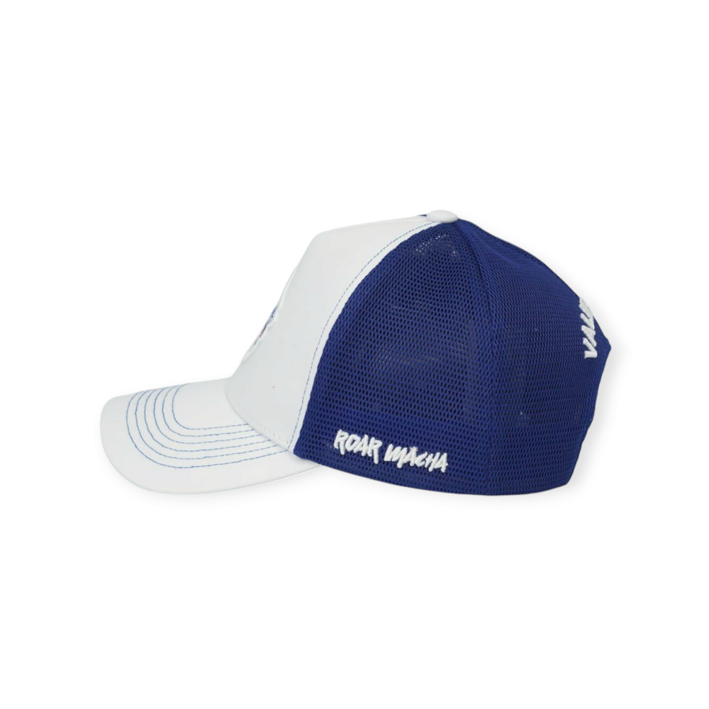 
                  
                    Delhi Capitals Classic Trucker
                  
                