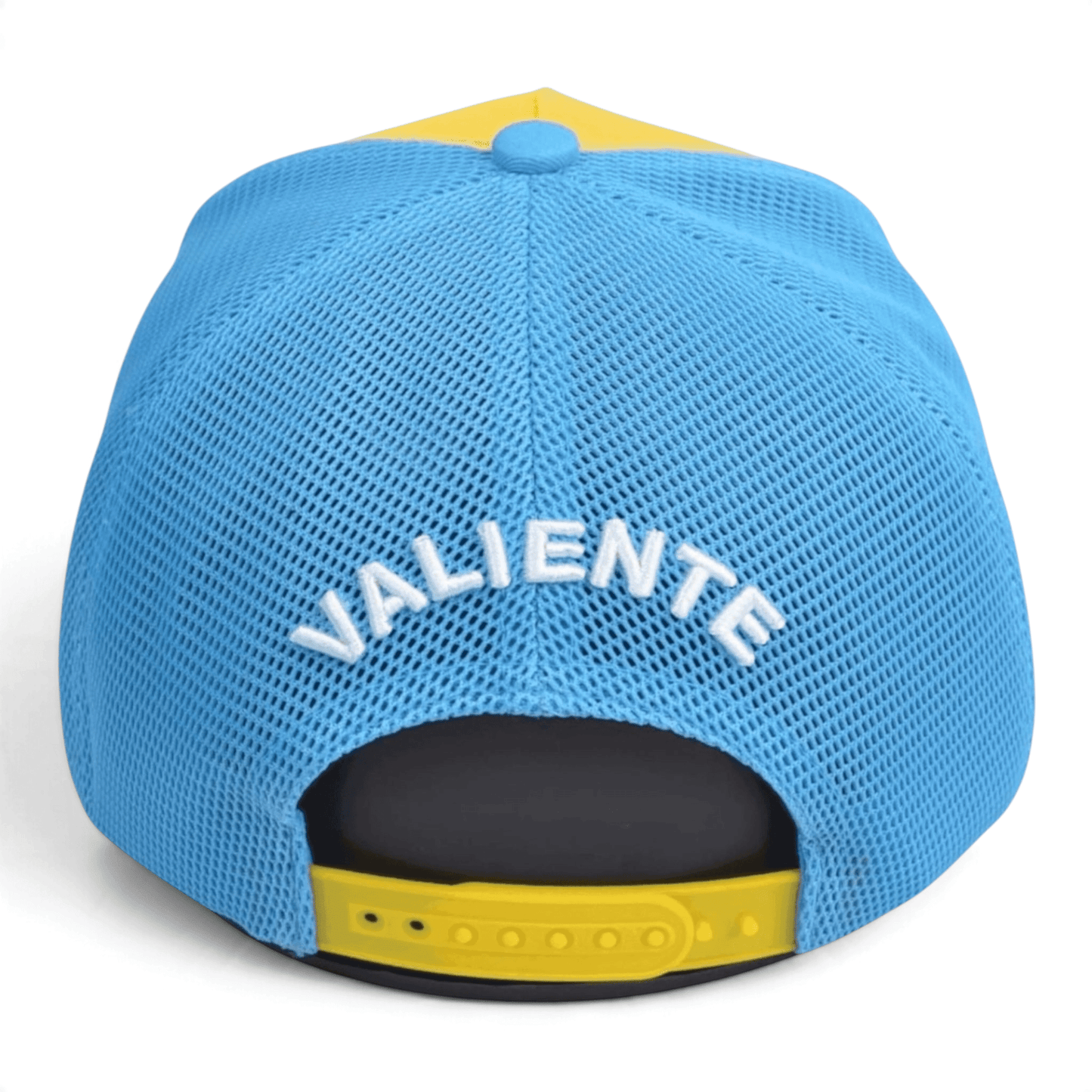 
                  
                    San Francisco Valiente - valientecaps
                  
                