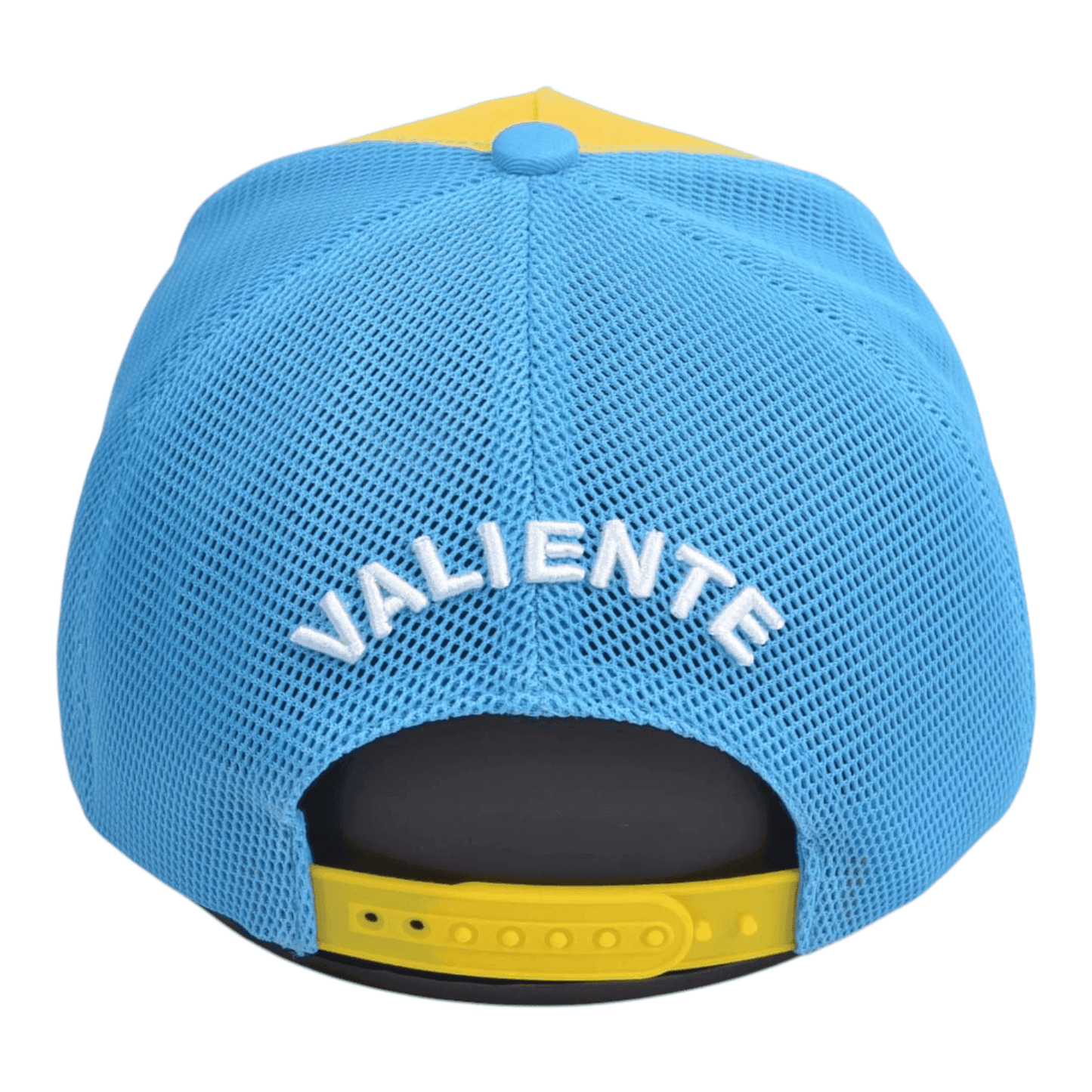 
                  
                    San Francisco Valiente - valientecaps
                  
                