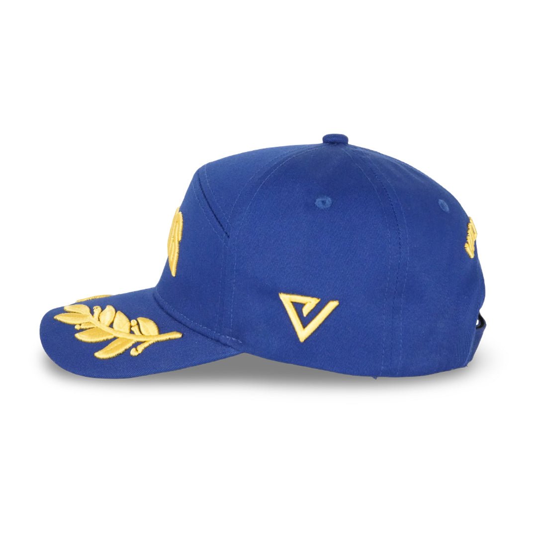 
                  
                    Titans Victory Caps - valientecaps
                  
                