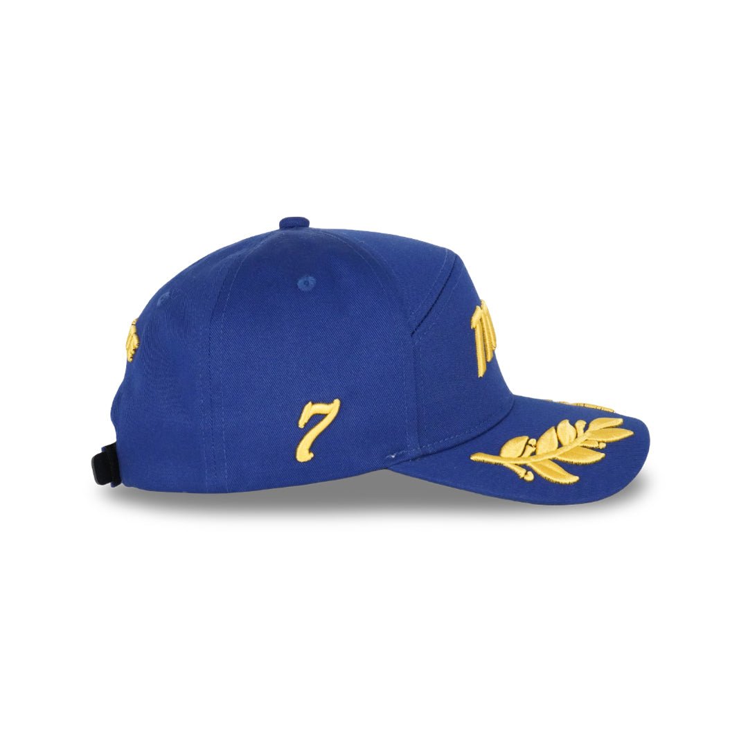 
                  
                    Titans Victory Caps - valientecaps
                  
                