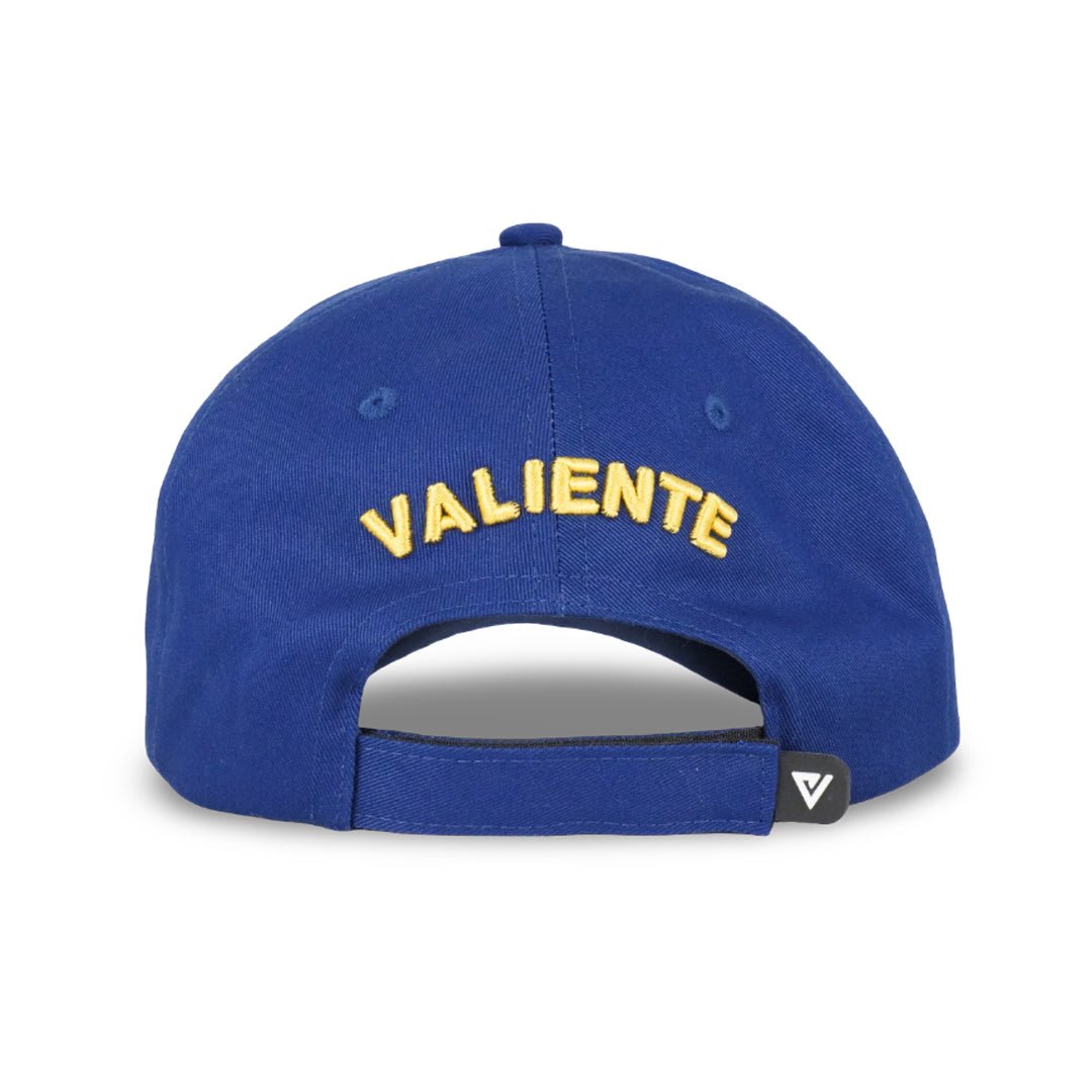 
                  
                    Titans Victory Caps - valientecaps
                  
                