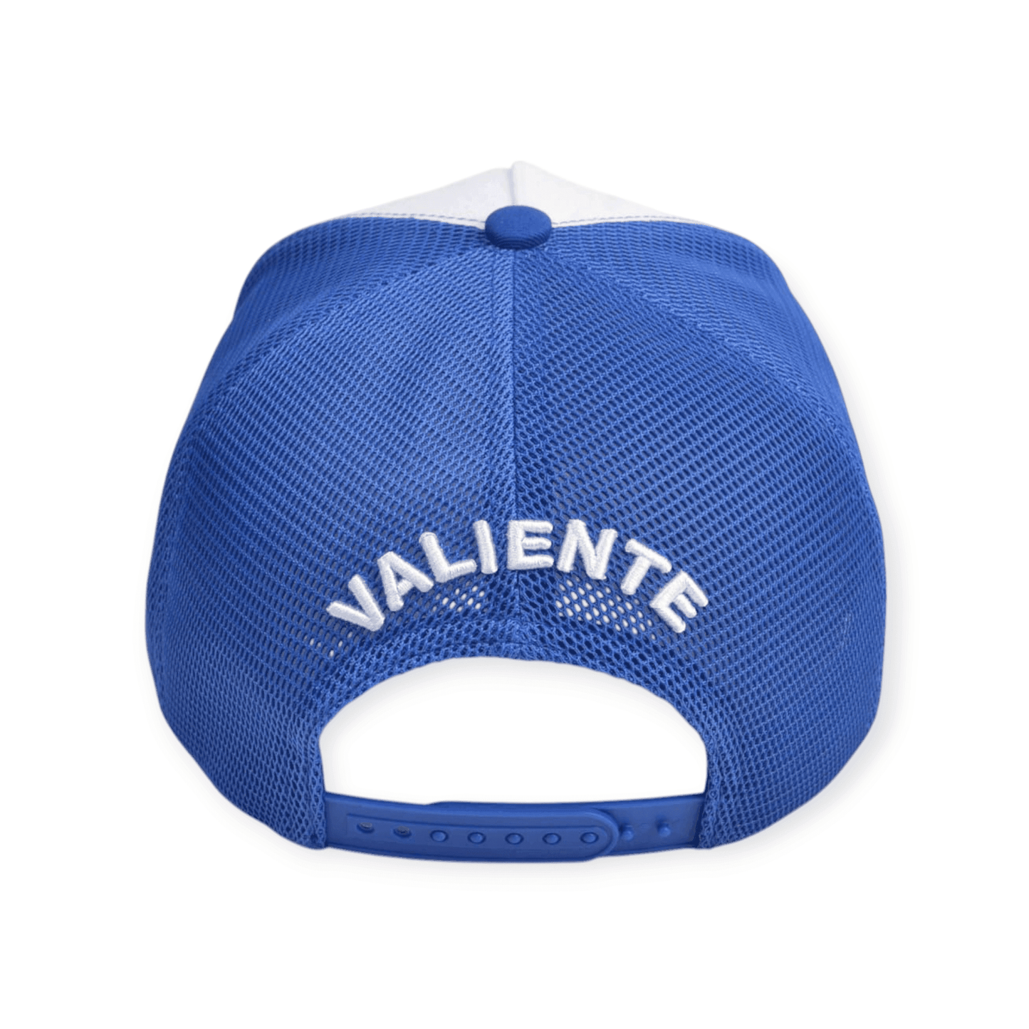 
                  
                    Tokyo Japan - valientecaps
                  
                