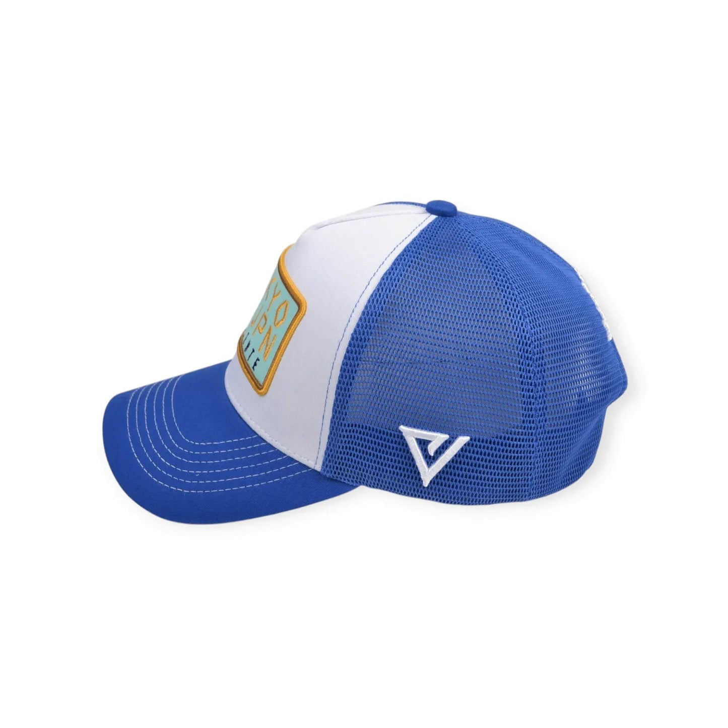 
                  
                    Tokyo Japan - valientecaps
                  
                